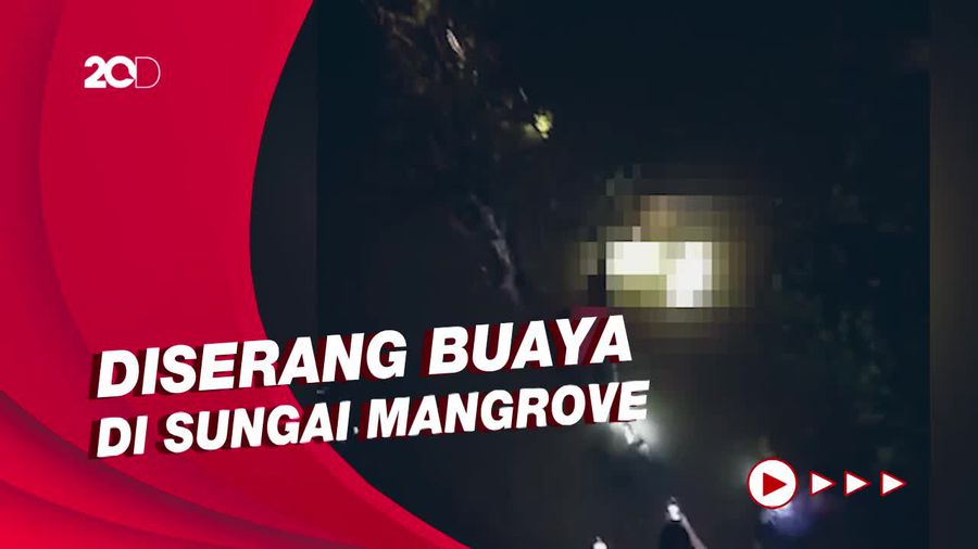 Tubuh Remaja di Bintan Ditemukan Tak Utuh Usai Diterkam Buaya