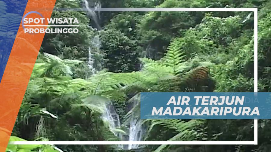 Air Terjun Madakaripura, Keindahan di Kaki Gunung Bromo, Probolinggo