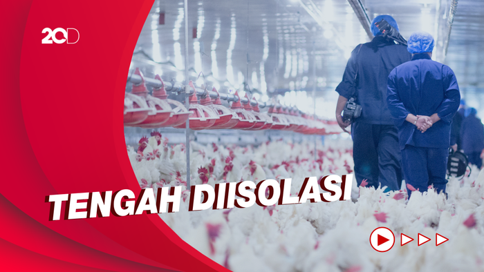 AS Laporkan Kasus Pertama Flu Burung H5 pada Manusia