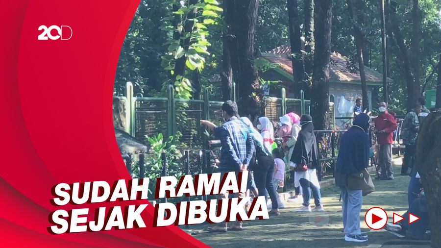 H+1 Lebaran, Taman Margasatwa Ragunan Ramai Pengunjung