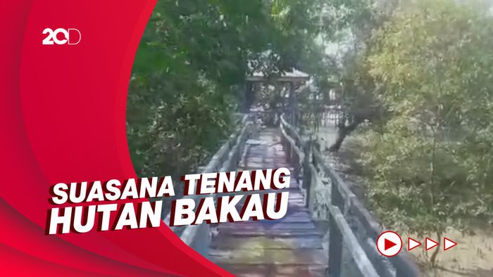 Rileks Sejenak Habiskan Waktu di Ekowisata Mangrove Oesapa