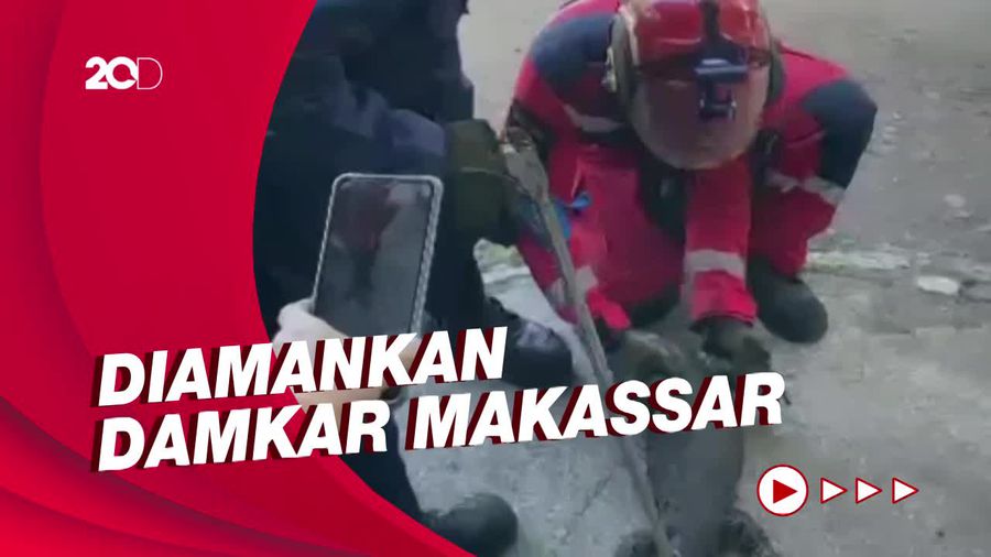 Heboh Biawak 1,5 Meter Masuk Rumah, Penghuni Langsung Kabur
