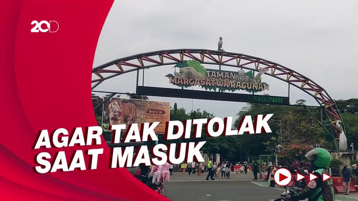 Mau Main ke Taman Margasatwa Ragunan? Jangan Lupa Daftar Online!