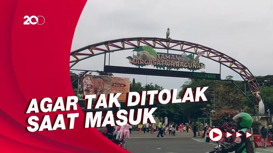 Mau Main ke Taman Margasatwa Ragunan? Jangan Lupa Daftar Online!