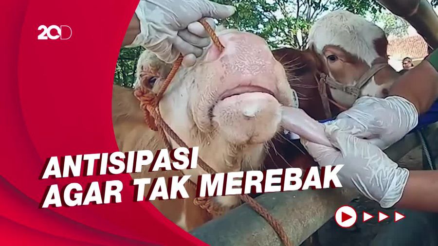 Sapi di Pasar Klaten Diperiksa Usai Temuan Penyakit Kuku-Mulut di Jatim