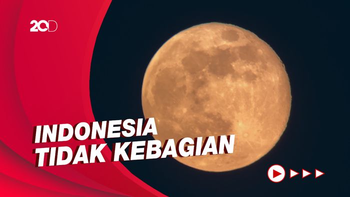 Gerhana Bulan Blood Moon Bakal Muncul 15 dan 16 Mei 2022