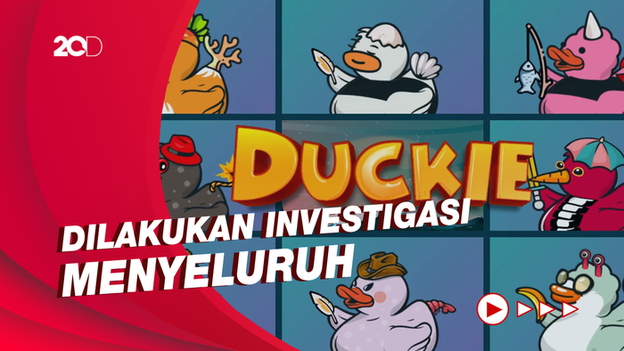 Kena Serangan DDoS, Duckie Land Pastikan Aset Kripto User Aman