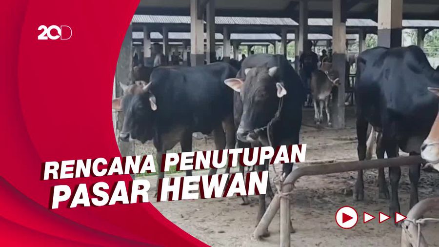 Belasan Hewan Ternak Positif Penyakit Mulut dan Kuku di Tasikmalaya