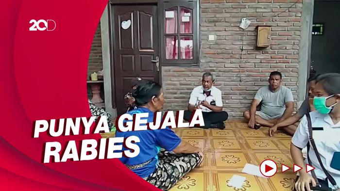 Punya Riwayat Digigit Anjing Rabies, Pria di Bali Meninggal