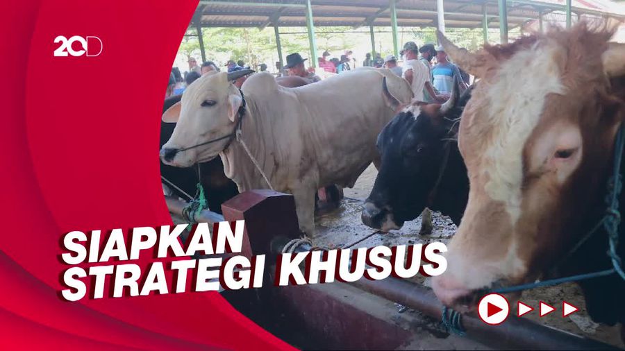 Ada Wabah PMK, Kementan Pastikan Ketersediaan Hewan Kurban Aman