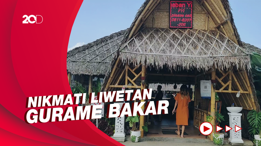 Makan Lesehan di Saung Tengah Sawah di Bogor, Tertarik?