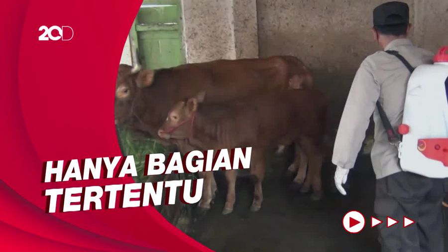 Mentan Sebut Hewan yang Kena Mulut-Kuku Bisa Dikonsumsi, Asalkan...
