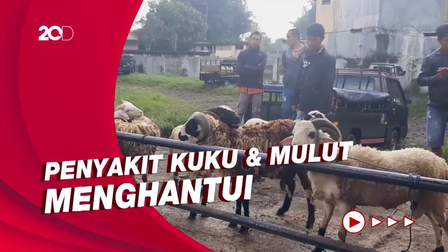 Pedagang Bandel Tetap Jualan Walau Pasar Hewan Ditutup Akibat Penyakit