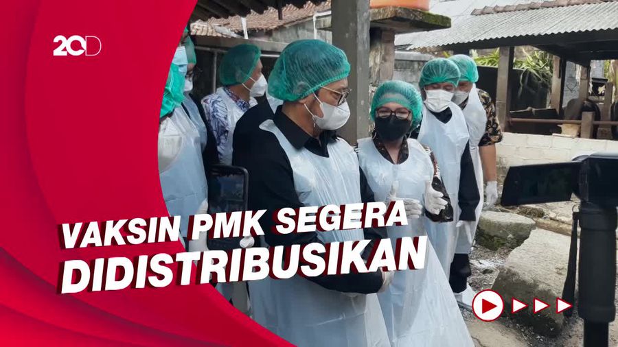 Mentan Turun Tangan Cek Wabah PMK, Minta Peternak Jangan Panic Selling