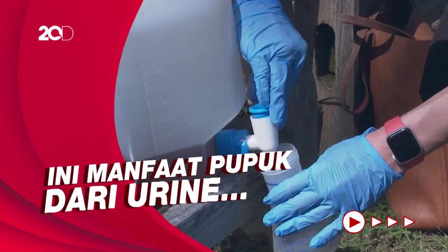 Peneliti Ini Gunakan Pupuk dari Urine untuk Bunga 