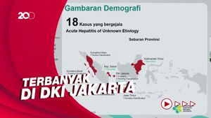 Data Sebaran 18 Kasus Dugaan Hepatitis Misterius di Indonesia