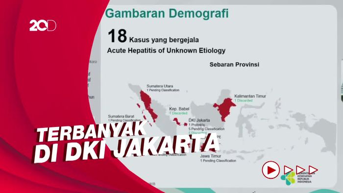 Data Sebaran 18 Kasus Dugaan Hepatitis Misterius di Indonesia