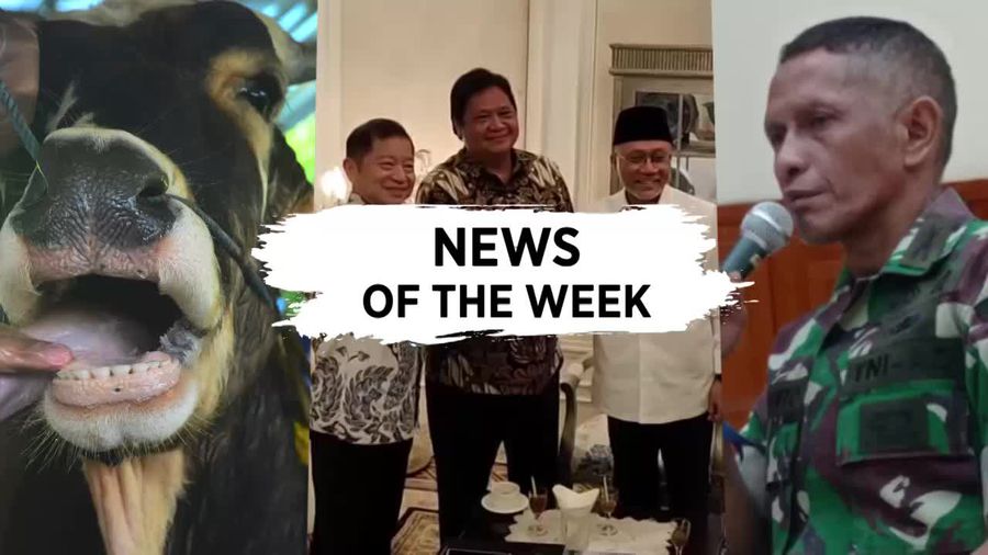 News Of The Week: 3 Partai Bikin Koalisi, Teror Wabah PMK Hewan