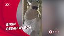 Heboh Wanita Berpakaian Serba Putih Minta Sumbangan di Lampung