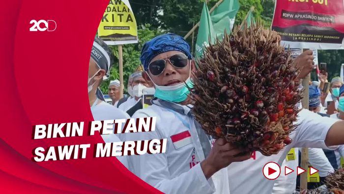 Protes Larangan Ekspor CPO, Petani Sawit Geruduk Kantor Menko Perekonomian