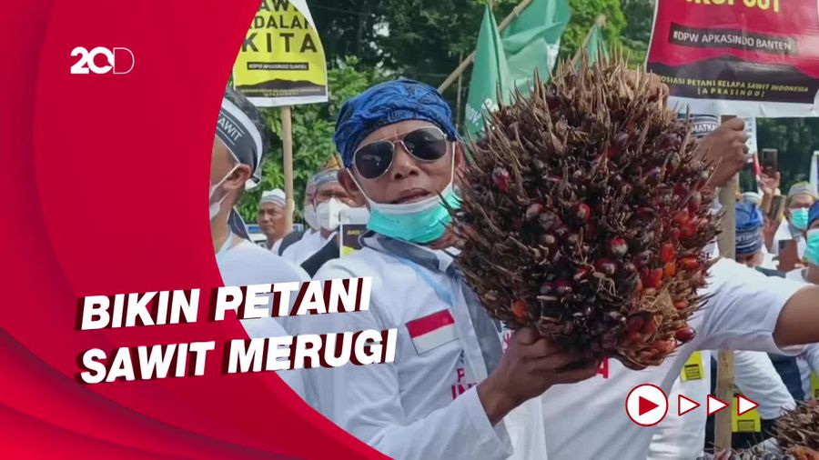 Protes Larangan Ekspor CPO, Petani Sawit Geruduk Kantor Menko Perekonomian