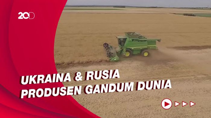 Ancaman Krisis Pangan Global & Dampak Perang di Ukraina