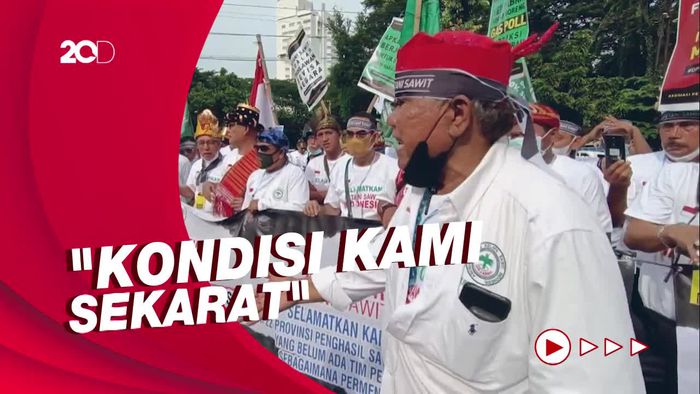 Petani Sawit Menjerit Merugi Belasan Triliun Gegara Larangan Ekspor CPO