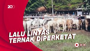 Awas! Penyakit Mulut dan Kuku Sudah Terindikasi di 6 Kabupaten di Jabar