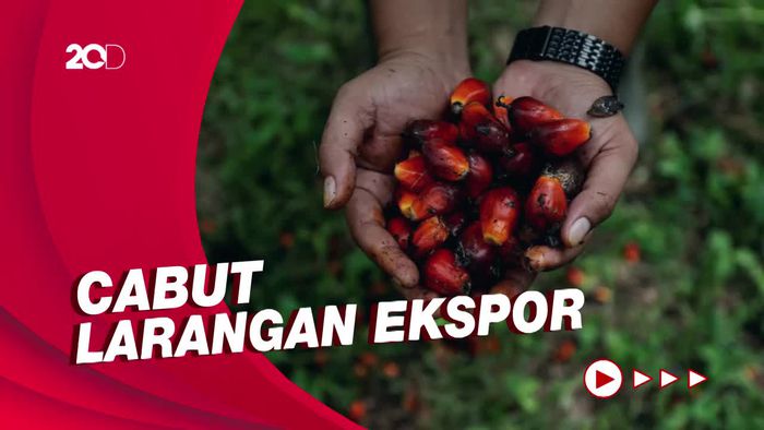 Petani Sawit Se-Indonesia Demo Tuntut 5 Hal