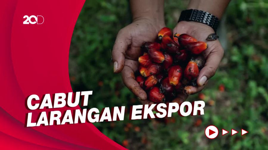 Petani Sawit Se-Indonesia Demo Tuntut 5 Hal