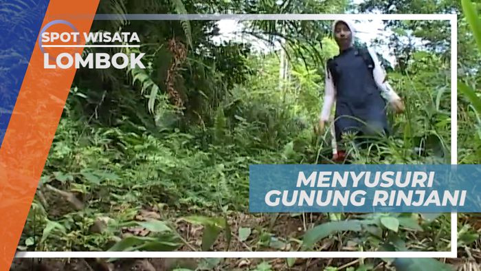 Menginjakkan Kaki di Gunung Rinjani, Gunung Berapi Kedua Tertinggi di Indonesia, Lombok
