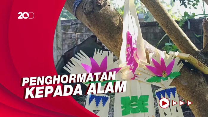 Mengenal Tumpek Wariga, Tradisi Mengupacarai Pohon di Bali