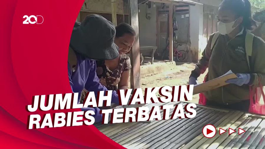 Balita Suspek Rabies di Jembrana Meninggal, Puluhan Anjing Divaksinasi