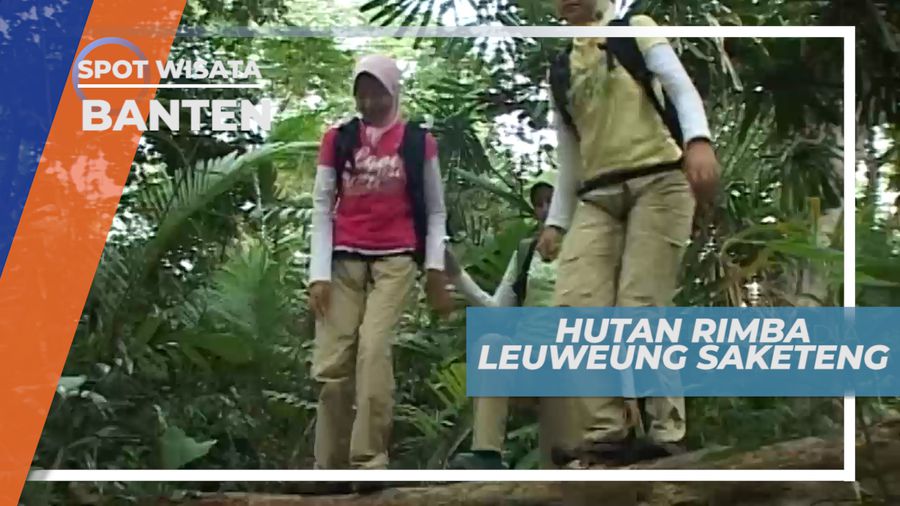 Lawang Saketeng, Hutan Rimba di Selatan Banten