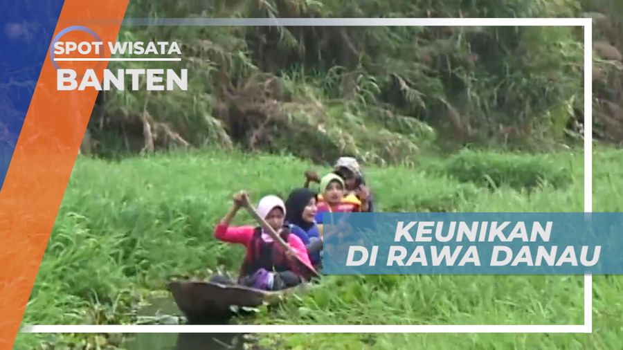 Dua Arus yang Tidak Menyatu di Rawa Danau, Banten