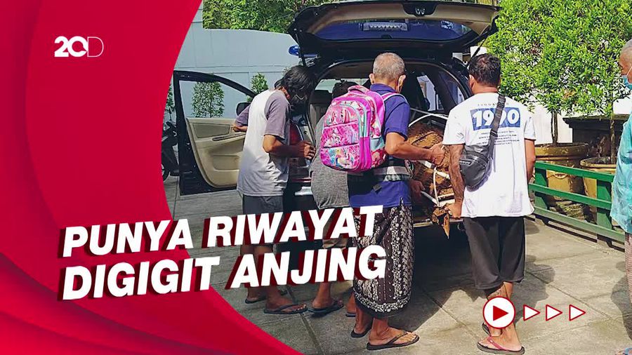 Lagi, Warga Jembrana Diduga Kena Rabies Meninggal Dunia