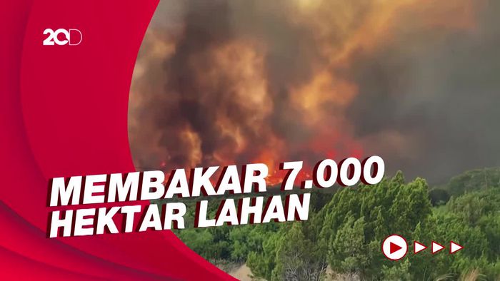 Pemandangan Mengerikan Kebakaran Hutan Ludeskan 60 Rumah di Texas