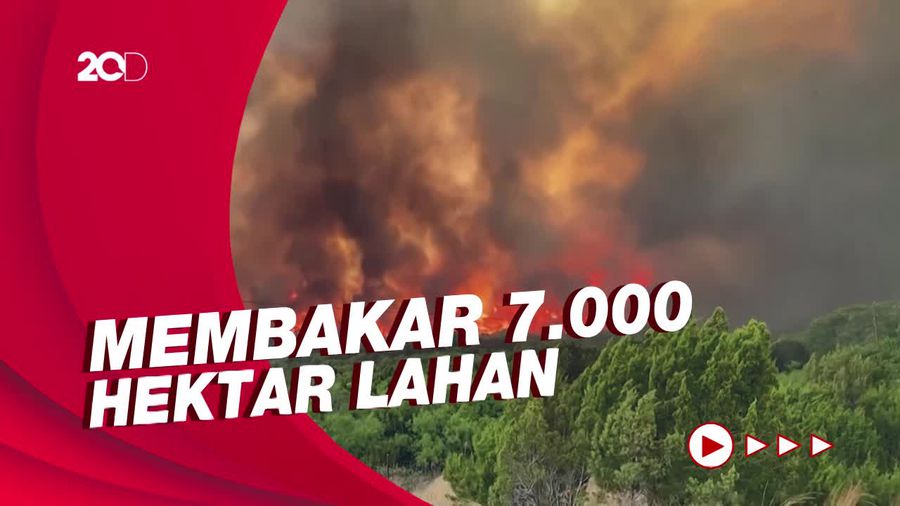 Pemandangan Mengerikan Kebakaran Hutan Ludeskan 60 Rumah di Texas