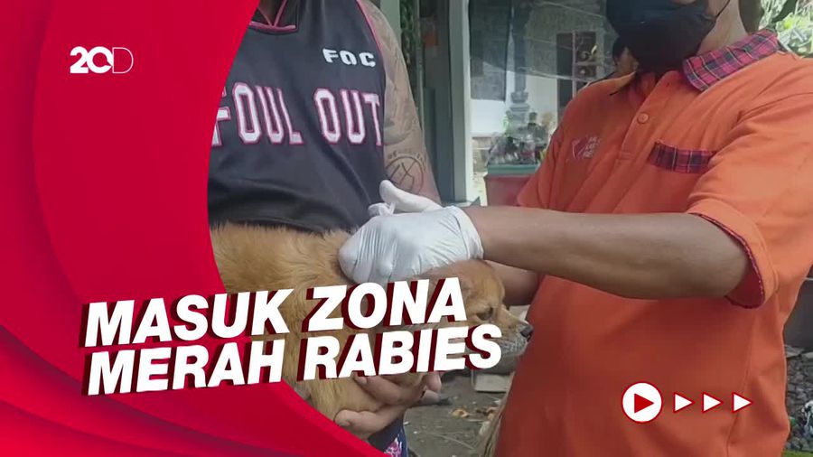 Ada 108 Kasus, Rabies di Jembrana Bali Masuk Kejadian Luar Biasa