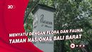 Pengalaman Menginap di Plataran Menjangan Resort and Spa di Bali Barat