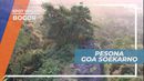 Goa Soekarno, Tempat Rahasia di Puncak Gunung Munara, Bogor