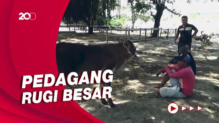 Sepinya Pasar Hewan di Lumajang Sejak Wabah Penyakit Mulut dan Kuku