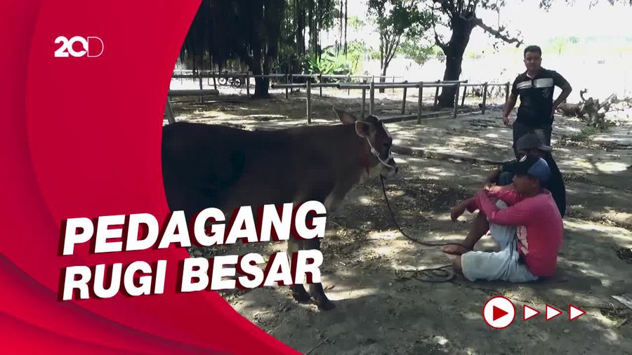 Sepinya Pasar Hewan di Lumajang Sejak Wabah Penyakit Mulut dan Kuku