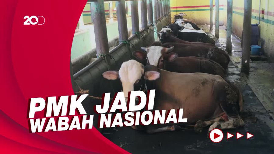 Pemkot Bandung Tutup Sementara Pengiriman Sapi dari Luar Kota