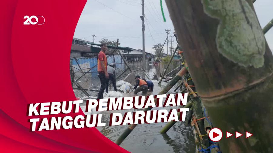 Aksi Gotong Royong Tambal Tanggul Jebol di Pelabuhan Tanjung Emas