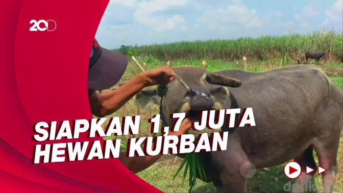 Menteri Pertanian Jamin Idul Adha Tak Terganggu Wabah PMK