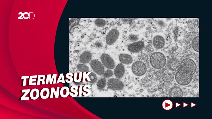 Jenis Hewan yang Berpotensi Tularkan Cacar Monyet ke Manusia