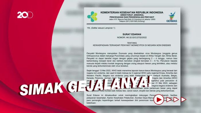 Penjelasan Kemenkes soal Kriteria Suspek-Konfirmasi Cacar Monyet