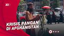 PBB Sebut 20 Juta Orang di Afghanistan Alami Kelaparan Akut