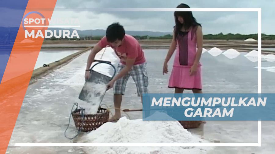 Begini Proses Panen Garam, Ternyata Tidak Mudah, Madura
